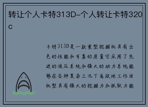 转让个人卡特313D-个人转让卡特320c
